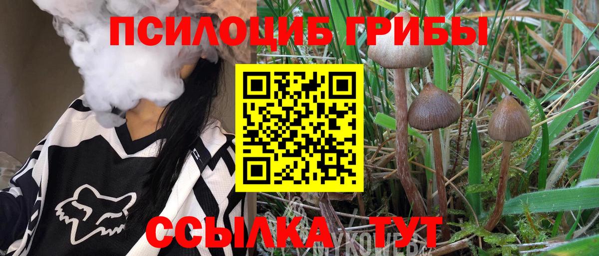 Псилоцибиновые грибы мицелий  Псилоцибиновые грибы мухоморы  Магадан  где можно купить   Вход с VPN 