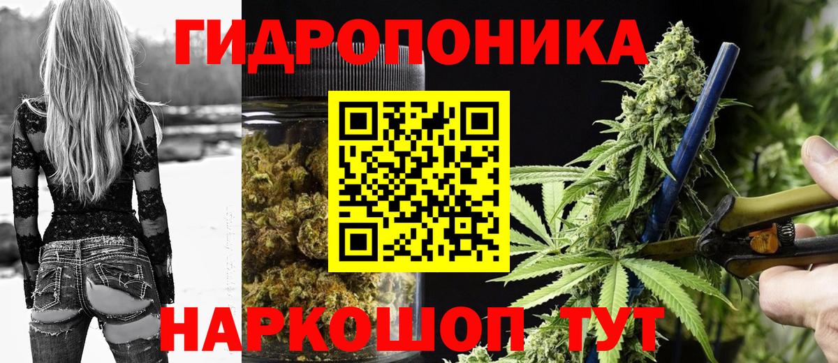 Каннабис индика  Вход с VPN  Шишки марихуана тримм  МАРИХУАНА SATIVA & INDICA  Магадан 